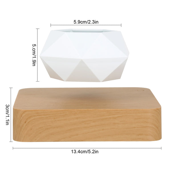 Modern Levitating Planter