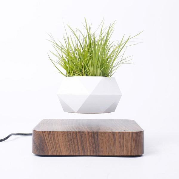 Modern Levitating Planter