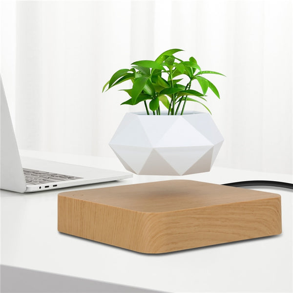 Modern Levitating Planter
